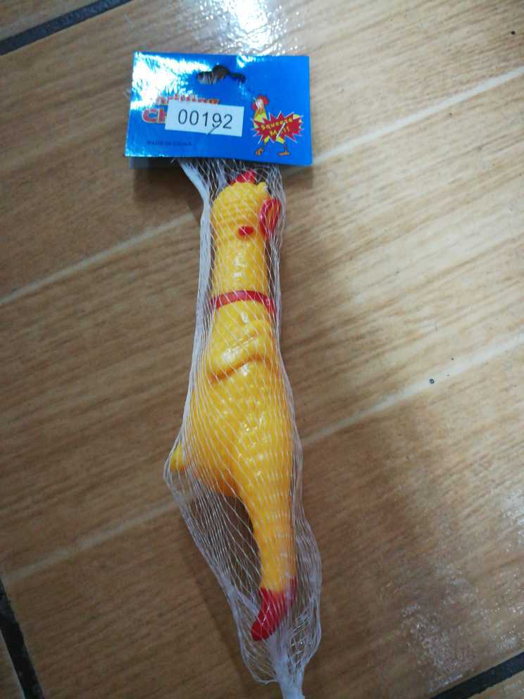 无法加载图片