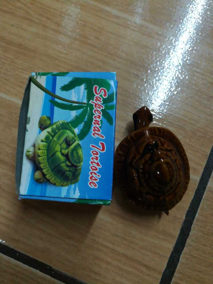 无法加载图片