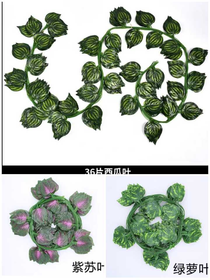 无法加载图片